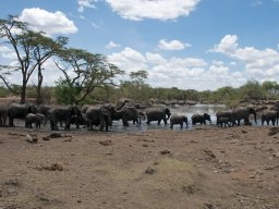 Western_Corridor2009-25